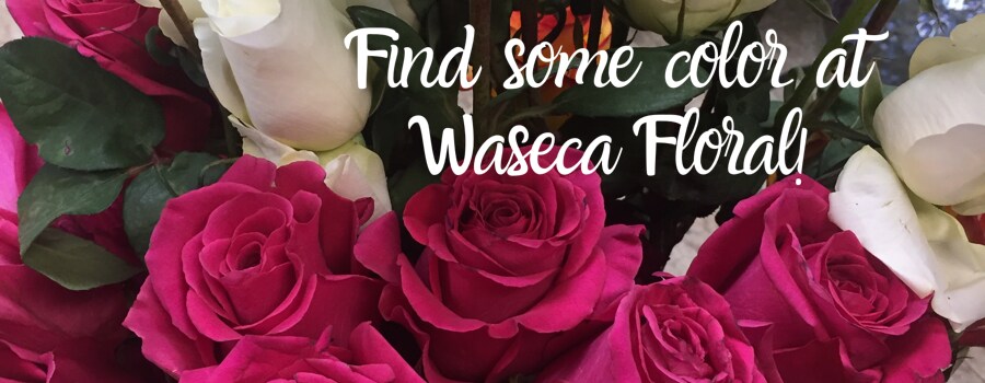 Flower Delivery to Waseca by Waseca Floral